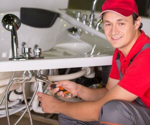 About Septic Pumping Service Alleene, AR